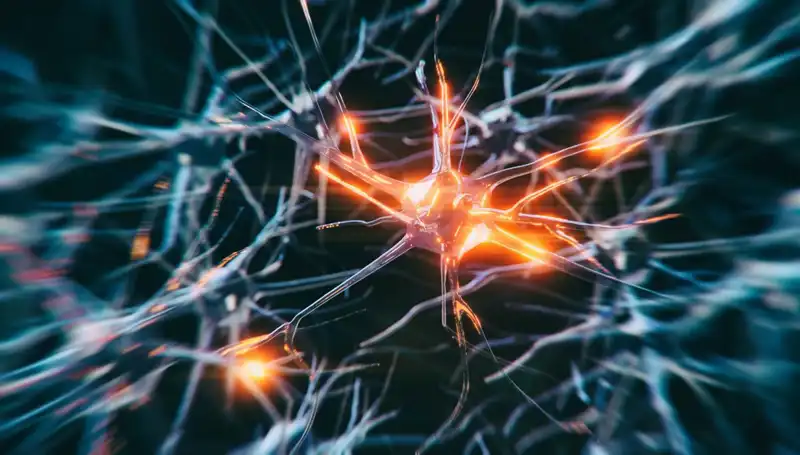 Alzheimer Vakalarının Artış Nedeni: Yeni Araştırma Sonuçları ve Beklentiler