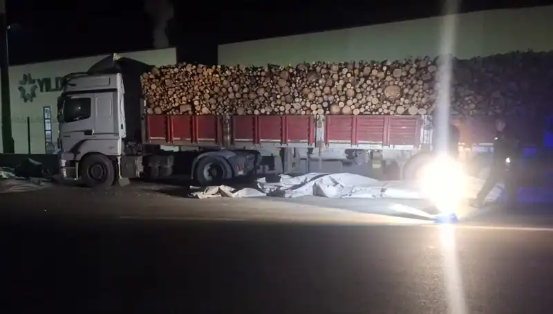 TIR Sürücüsünü Brandayı Toplarken Otomobil Çarptı: Olayın Ayrıntıları