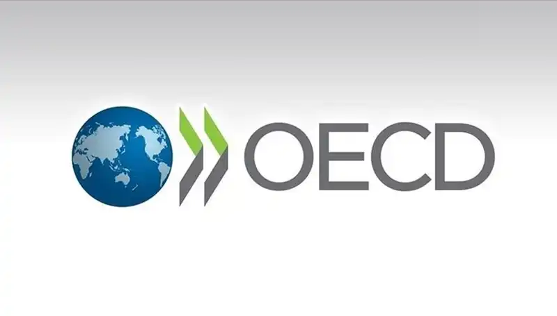 OECD'nin Türkiye Büyüme Tahmini: Ekonomik Beklentiler Ne Yönde?