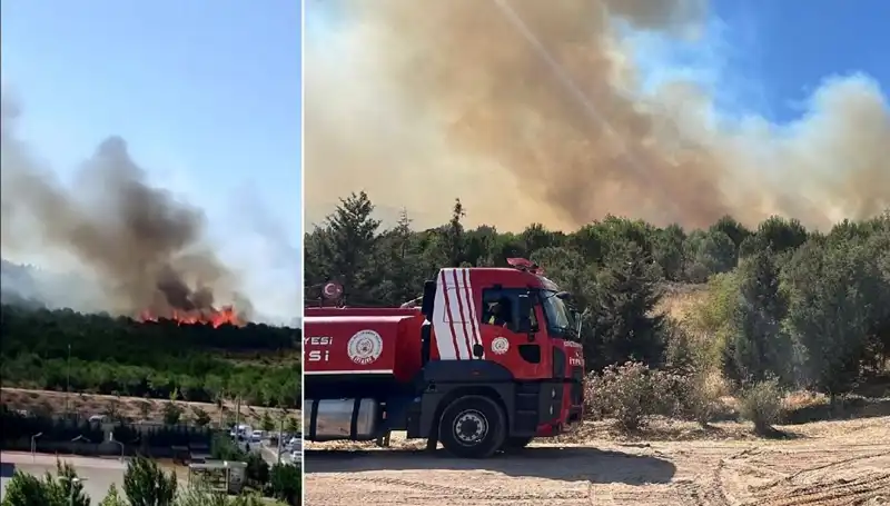 Gebze'de Yangın Korkuttu! Ormanlık Alan Alev Alev Yandı
