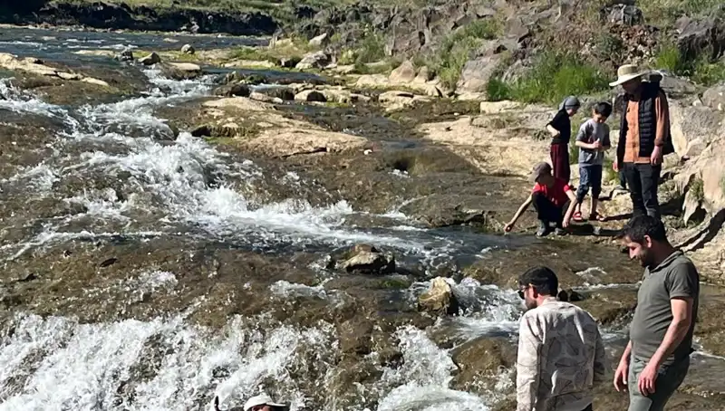 İnci Kefalinin Göçü: Doğa Harikası Binlerce Turisti Kendine Çekti