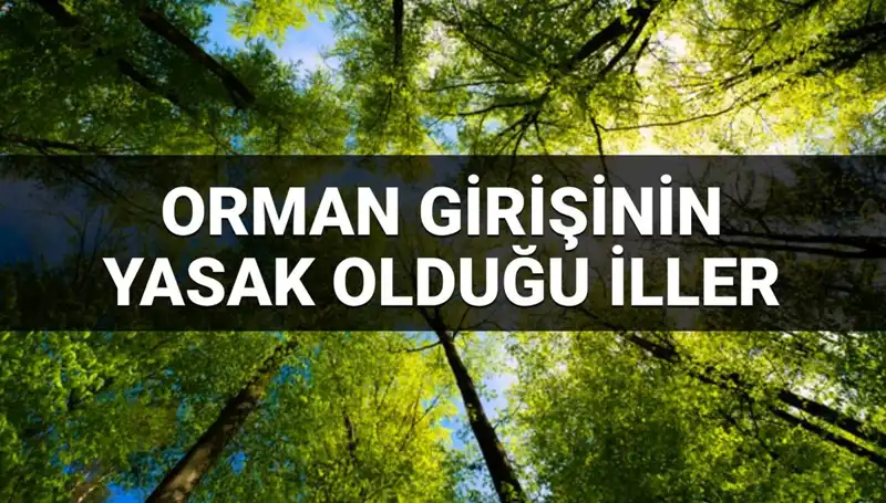 2025’te Ormana Girmek Yasaklanan İller: Tüm Detaylar Burada!