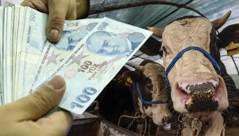 Emekli ve Memur Maaşları Ne Zaman Yatacak? Bayram Öncesi Bekleyiş!