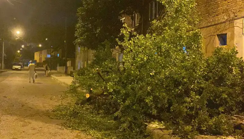 Karabük’te Şiddetli Fırtına Can ve Mal Kaybına Neden Oldu