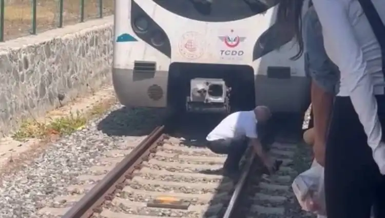 Marmaray Makinisti, Raylardaki Kediye Duyarlılığıyla Takdir Topladı