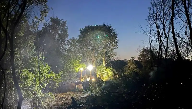 Edirne'deki Orman Yangını Kontrol Altına Alındı: Ekipler Başarıyla Mücadele Etti