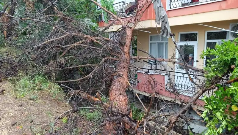 Yağmura Dayanamayan Bina, Korkunç Çöküşle Yere Devrildi