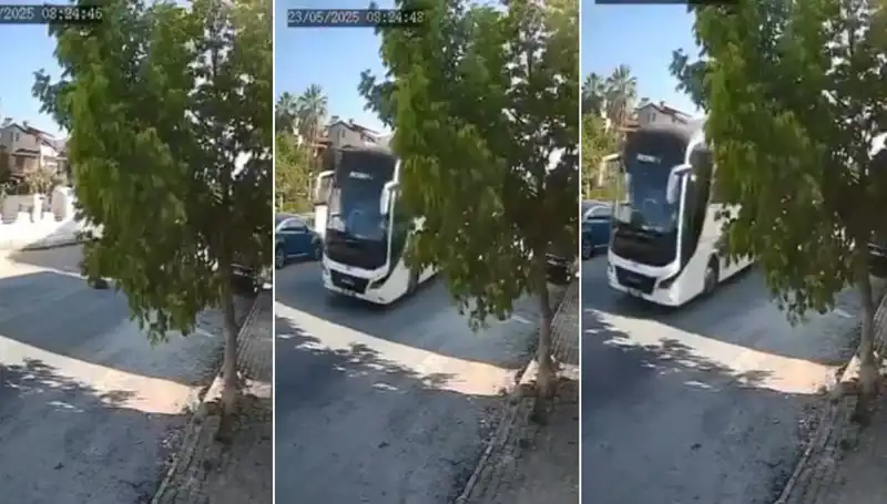 Yolda Yatan Köpeği Ezip Giden Sürücü Şok Etti!