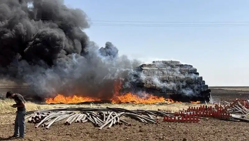 Mardin'de Dev Anız Yangını: Tarım Alanları Tehlikeye Girdi