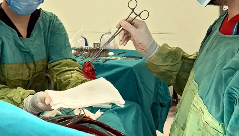 Kalp Kapağı Çürümüş Hastanın 7 Saatlik Ameliyatı: Mucizevi Başarı