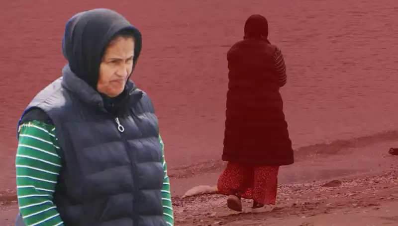 132 Günlük Áşk: Her Gün Sahilde Bekleyen Köpek