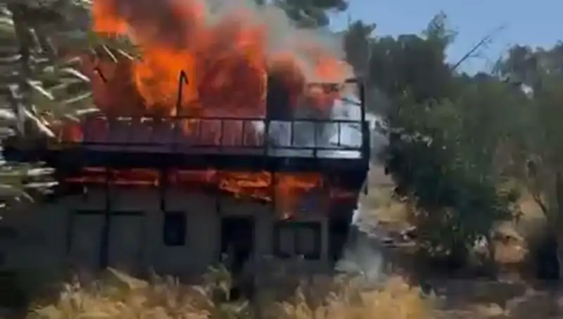Bodrum'da Yangın Panik Yarattı: Ekipler Hızla Müdahale Etti