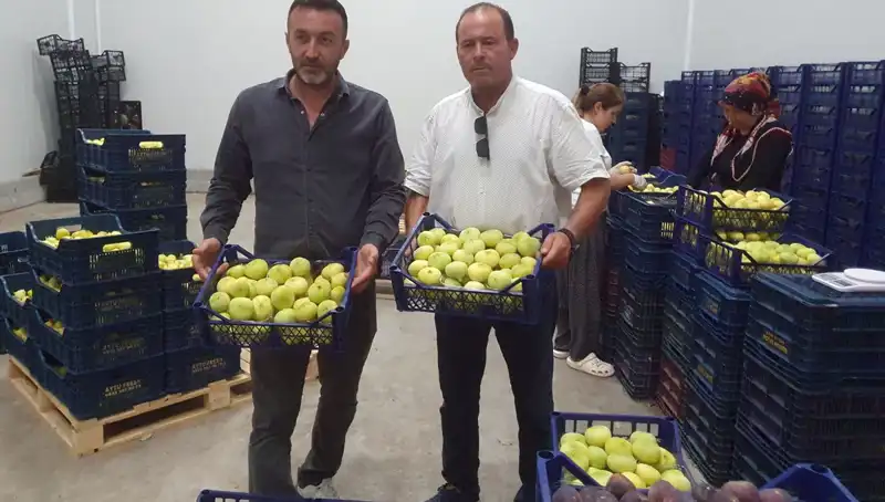 Mersinli Çiftçilerin Yüzü Güldü: 20 TL'den İhraç Edilen Ürünlerin Sırrı Ne?